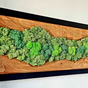 Картина със скандинавски мъх "Улей"